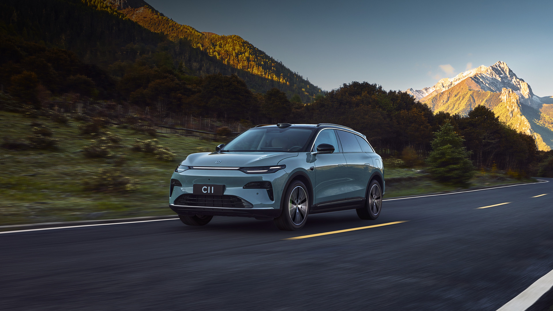 Гибрид Leap Motor C11 DM